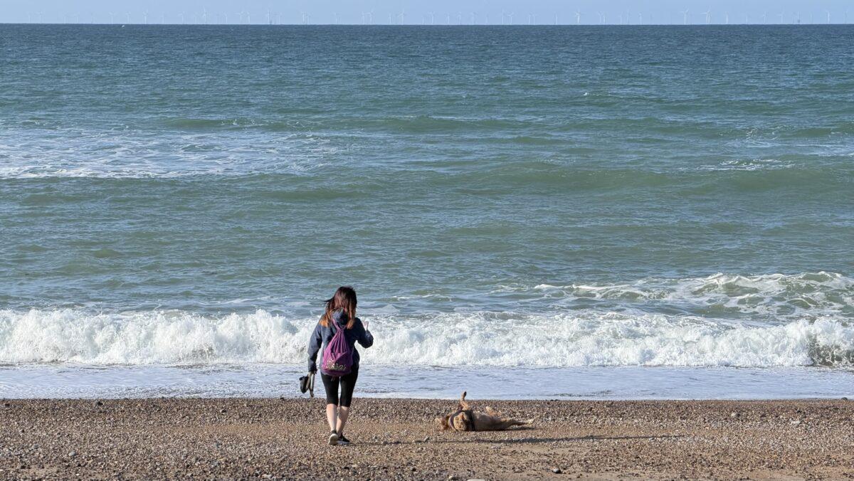 Norfolk and Less – Day 3